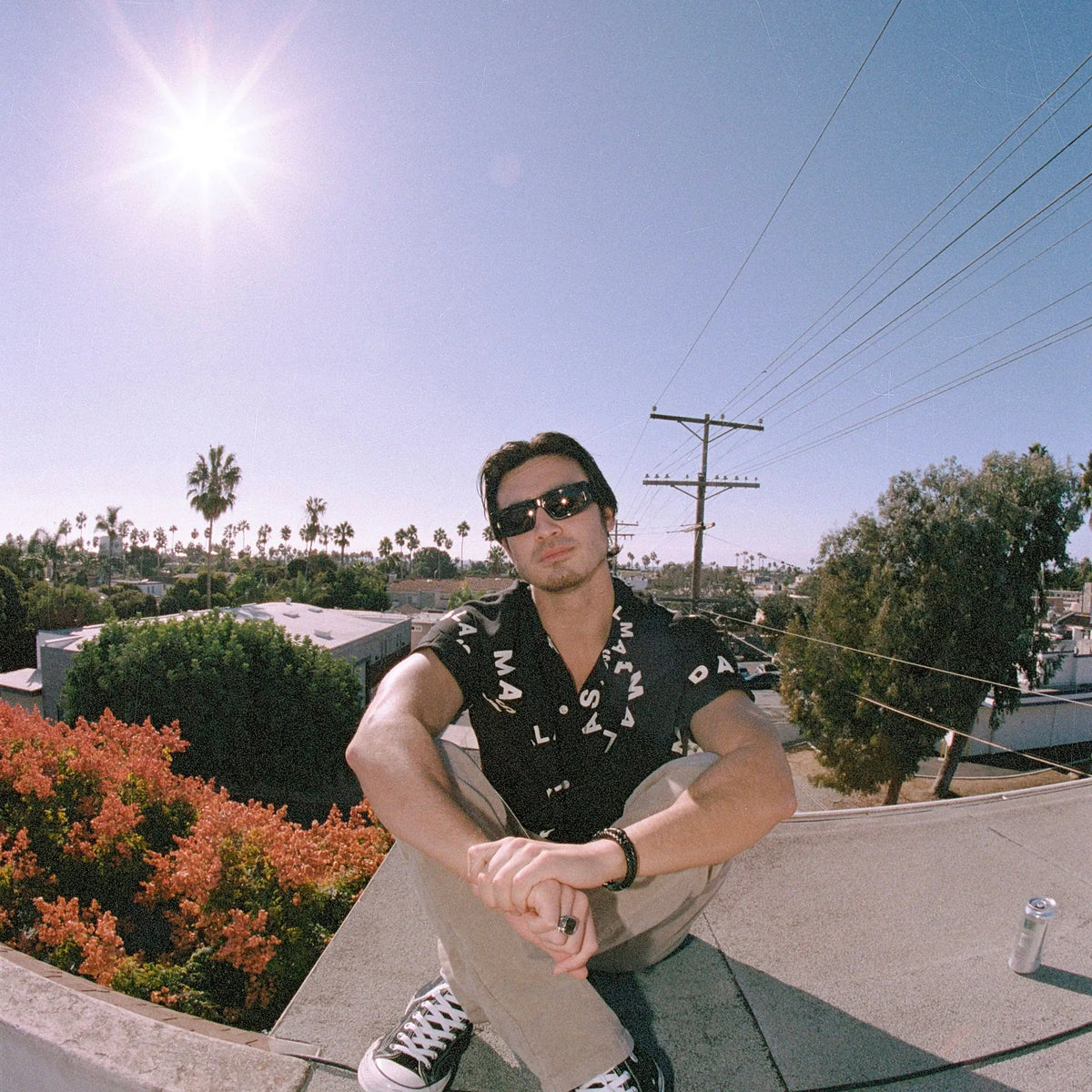 SUNGLASSES - TRANSLUCENT BLACK